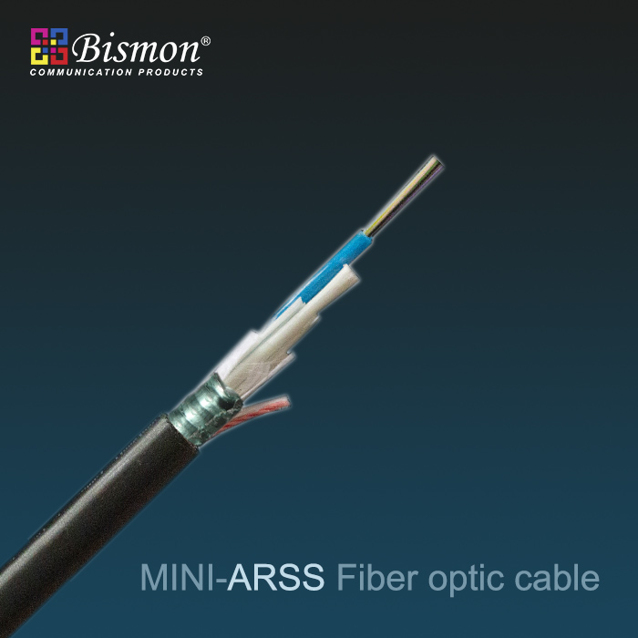 - Mini-ARSS Fiber optic cable